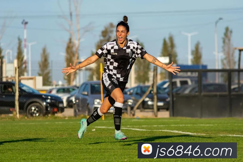 金沙国际平台生态图